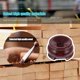 thumbnail image 4 of ColoMX Balón de madera de la esfera de cristal 4pcs Bandeja de la base de la bola práctica del soporte de la base de la bola, 4 of 8