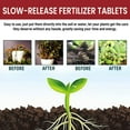 thumbnail image 5 of NumWeiTong Home Gardening Universal Slow-Release Tablet Fertilizer Meal Fertilizer Plant Flower Fertilizer Concentrated All-Purpose Fertilize, 5 of 9