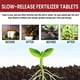 thumbnail image 5 of Home Gardening Universal Slow-Release Tablet Fertilizer Meal Fertilizer Plant Flower Fertilizer Concentrated All-Purpose Fertilize, 5 of 9
