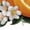 White-2, variant on Women Casual Orange Green Citrus Graphic Tees Cotton Crew Neck Printed T Shirt Tops White S-5XL