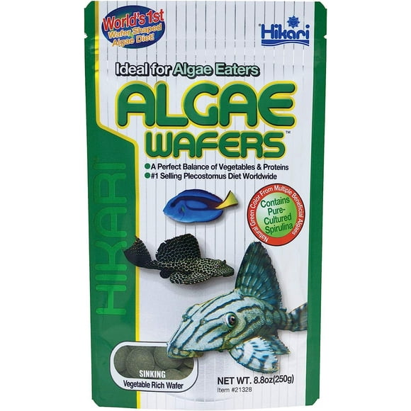 Hikari USA Inc AHK21328 Tropical Algae Wafer 8.8-Ounce Hikari 1