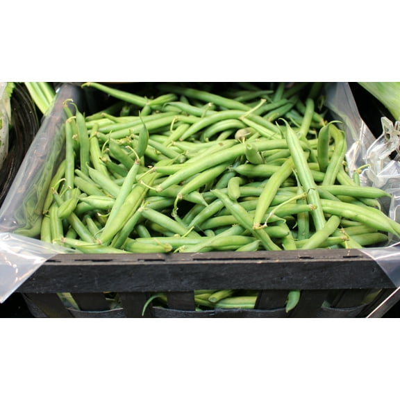 Kentucky Dreamer Bush Bean -100 Seeds High Yields Tasty Fresh or Frozen- Nice slender pods