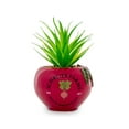 thumbnail image 1 of The Office Schrute Farms Rustic 8.25 x 4.5  Inch Ceramic Planter w/Artificial Plant, 1 of 2