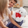 thumbnail image 4 of Oso de peluche HollyHome, oso rosa, 30 cm, blanco, 4 of 7