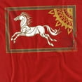 thumbnail image 2 of Lord of The Rings Rohan Banner Women's T Shirt, Red, Large, 2 of 6