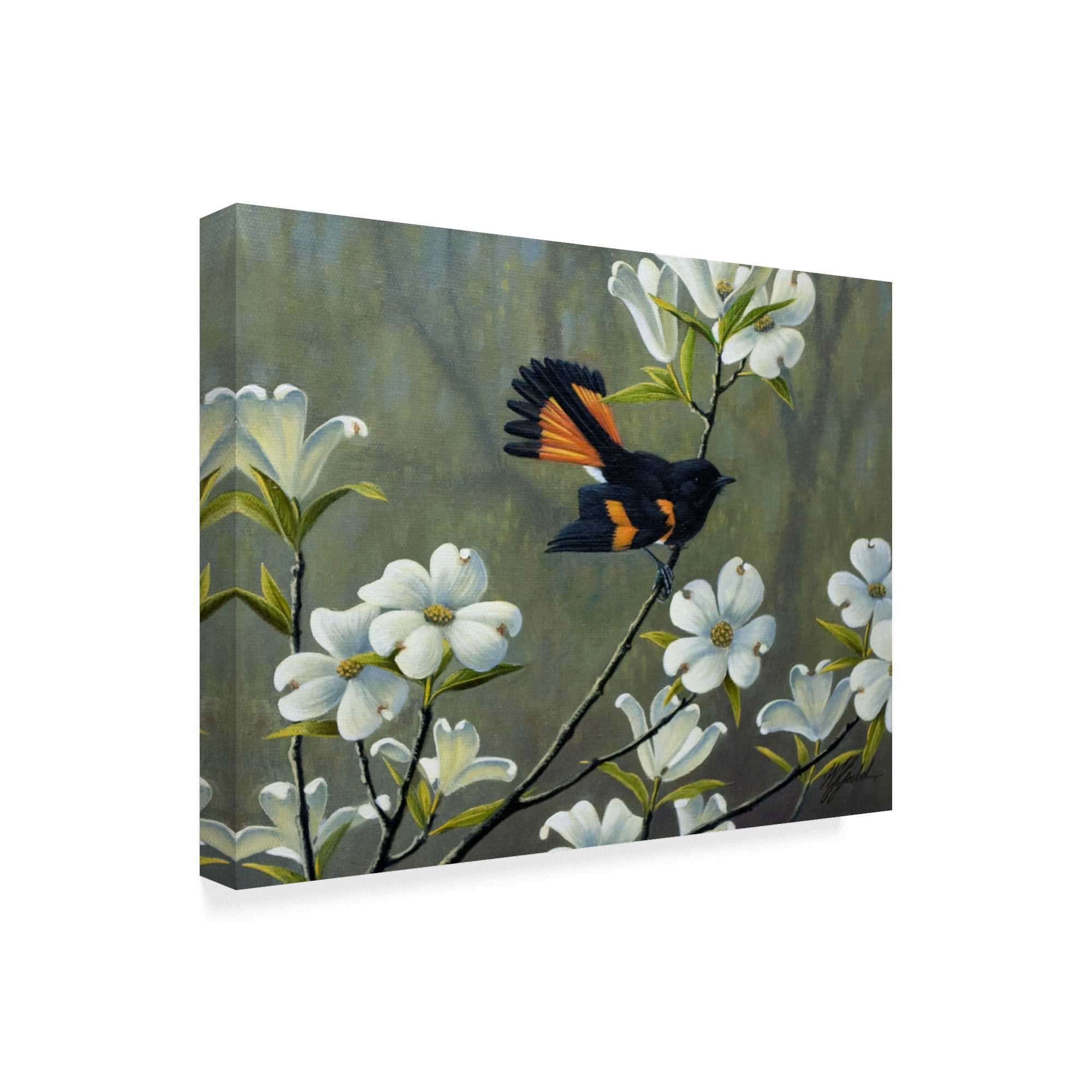 Trademark Fine Art 'Redstart And Dogwood' Canvas Art by Wilhelm Goebel