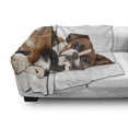 thumbnail image 3 of Funny Soft Flannel Fleece Throw Blanket, Cat and Dog Cuddling Lying on Floor Friendship Theme Animals Togetherness, Cozy Plush for Indoor and Outdoor Use, 50" x 60", Brown Black White, by Ambesonne, 3 of 6