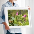 thumbnail image 2 of Butterfly on Hibiscus Bloom - Pennsylvania Photography Butterfly Flowers Nature Botanical Insect Garden Floral White Framed Wall Art Print 24 x 36 inches, 2 of 4