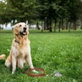 thumbnail image 2 of 3/5/10 Meter Anti-Bite for Two Dogs Steel Wire Strong Camping/Hiking /Park Dog Outdoor Supplies Dog Leash Dog Tie Out Cable Pet Cable Leash BLUE 3M 5MM THICKNESS, 2 of 8