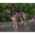 thumbnail image 2 of Country Brook Petz® Pink Hawaiian Step-In Dog Harness, Extra Small, 2 of 4
