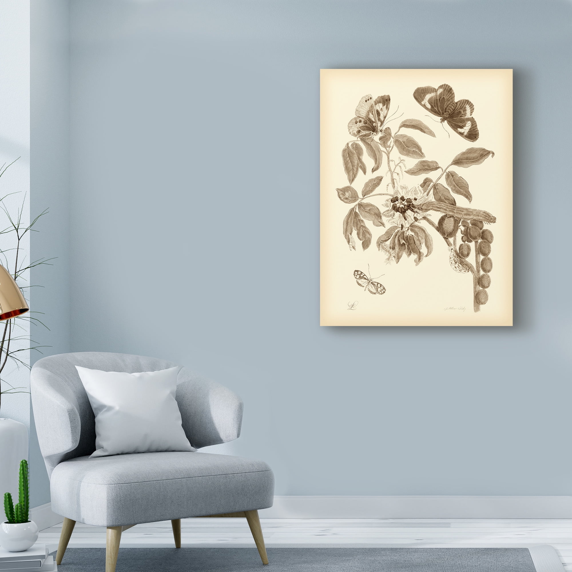 Trademark Fine Art 'Nature Study in Sepia II' Canvas Art by Maria S. Merian