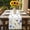 White, variant on Butterflies Floral Table Runner - 72 Inch Long, Kitchen Dining Table Runner Dresser Scarves, Country Plants Wildflower Leaves Farmhouse Decor for Coffee Tables Wedding Party Banquet