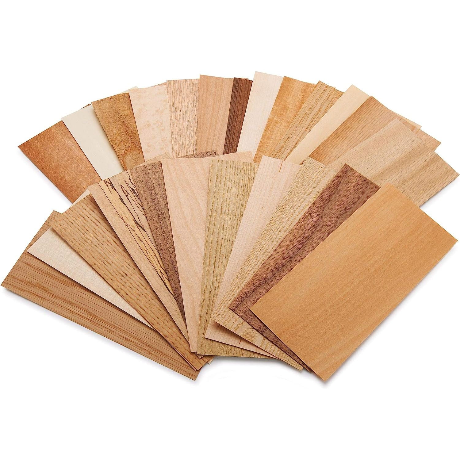 HElectQRIN North American Species Wood Identification Kit & Wood Veneer