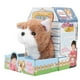 thumbnail image 1 of Juguete eléctrico para perros NikouMX mascota de peluche linda, 1 of 8