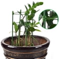 thumbnail image 3 of Climbing Vine Rack Plant Protection Cage Plants Support Reusable 4Pcs Plastic Insect-Proo Reenhouses Drawstring Mesh Net, 3 of 10