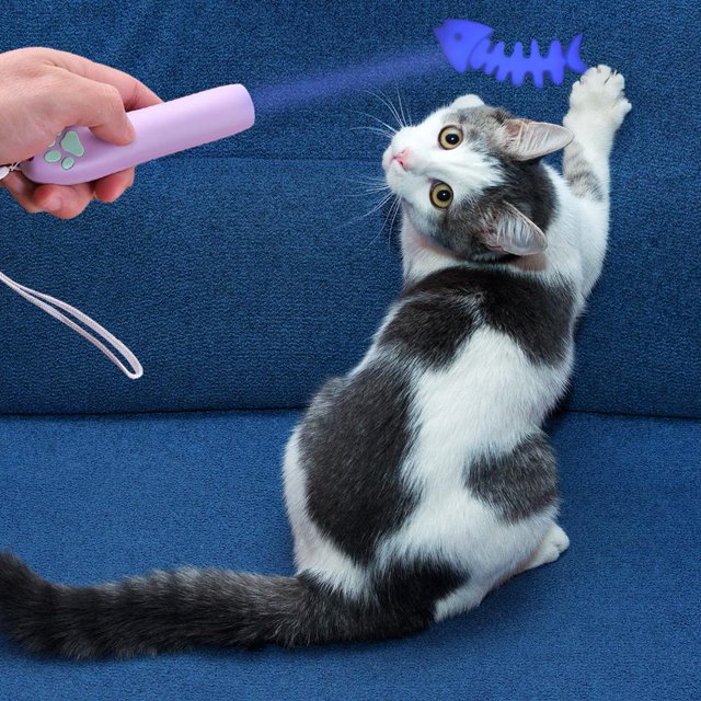 Palo De Gato Divertido Juguete para gatos domésticos, puntero láser, bolígrafo de luz, sombra de animales, juguetes de burla (púrpura) Wdftyju Libre de BPA