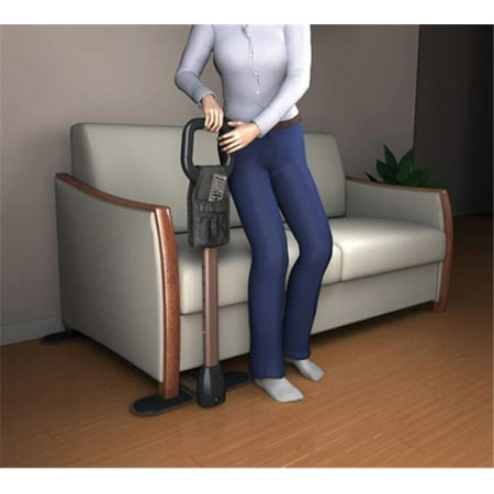 Complete Medical Supplies 2020 CouchCane Stand up Assist