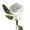 White - 8PCS, variant on LShunze 8Pcs Blush Fake Roses with Stems for DIY Wedding Bouquets Bridal Shower Centerpieces Party Decorations