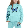 thumbnail image 3 of Tiijoy Toddler Girls Tracksuit Butterfly Print Hoodie and Joggers Outfits, Sizes 2-3T, 3 of 3