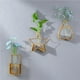 thumbnail image 5 of Jarrón Para Colgar En La Pared, Contenedor Hidropónico De Vidrio De Hierro Dorado Decorativo, Estantes De Flores De Estrella De Amor, Decoración Geométrica Para El Hogar, Contenedor Hidropónico Vogacara HA023750-00, 5 of 7