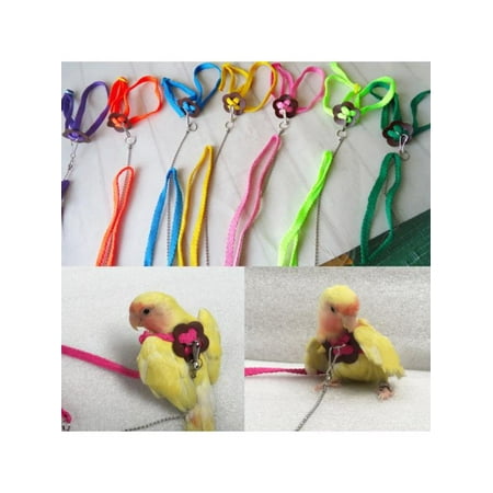 Topumt Outdoor Adjustable Harness Parrot Bird Leash Training Anti Bite Traction
