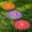 Dahlia, variant on 3 Pack Garden Stepping Stone Outdoor, Decorative Dimensional Resin Stepping Stones for Patio Pathway Landscaping Walkway Sculpture Yard Backyard Lawn(Dahlia,10 Inches)