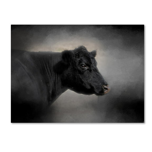 Trademark Fine Art Jai Johnson Portrait Of The Black Angus Canvas Wall Art - 14x19