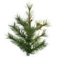 thumbnail image 2 of Vickerman 9' Mixed Country Pine Slim Artificial Christmas Tree, Unlit, 2 of 5