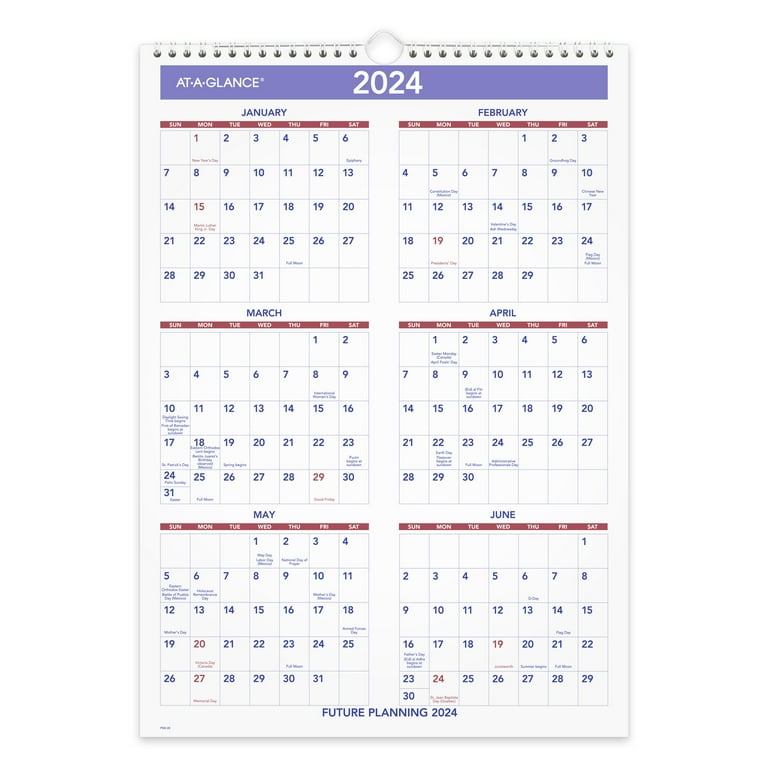 AT-A-GLANCE Monthly 2023 RY Wall Calendar, Medium, 12