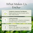 Mojo Matcha Ceremonial Grade Organic Matcha Powder - Samidori Cultivar, 1.06oz (30g) Tin