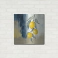 thumbnail image 3 of Luxe Metal Art 'Lemons From The South 2'  by Silvia Vassileva Metal Wall Art, 24" x 24", 3 of 8