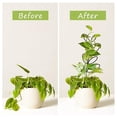 thumbnail image 3 of Enrejado de plantas ANGGREK de Metal pequeño Innovador y Duradero 4 Piezas, 3 of 7