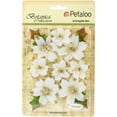 thumbnail image 2 of Botanica Regal Gold Poinsettia 12/Pkg-White, 2 of 2