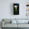 thumbnail image 2 of Trademark Fine Art Kathie Mccurdy Moonflower Bud Canvas Wall Art - 20x47, 2 of 5