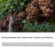thumbnail image 3 of Tapetool para uñas con encuadernadora de tomate y vid - 10000 unidades, 3 of 10