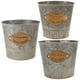 thumbnail image 5 of Cubo de hierro multifuncional 3 unids Plantador de flores seco plantador de plantas de decoración del hogar, 5 of 5
