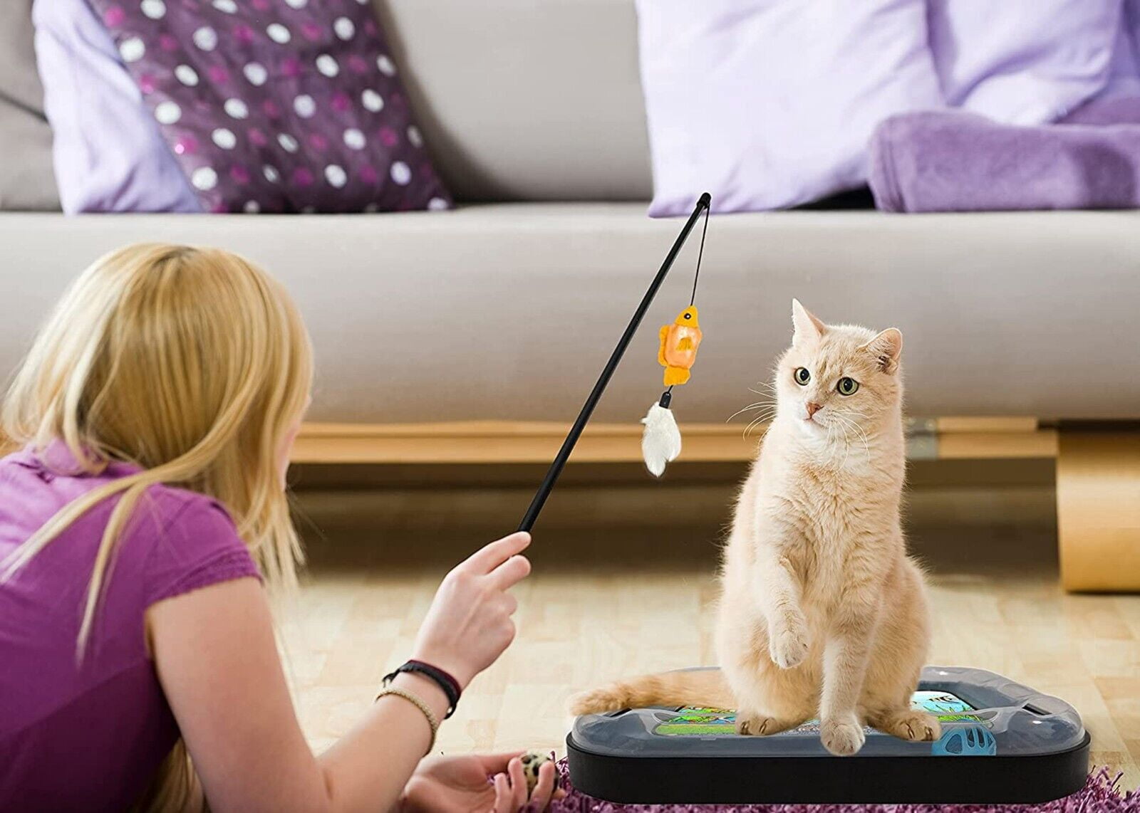 Cat Scratcher Toy with Scratching Board and Fish Aquarium Design