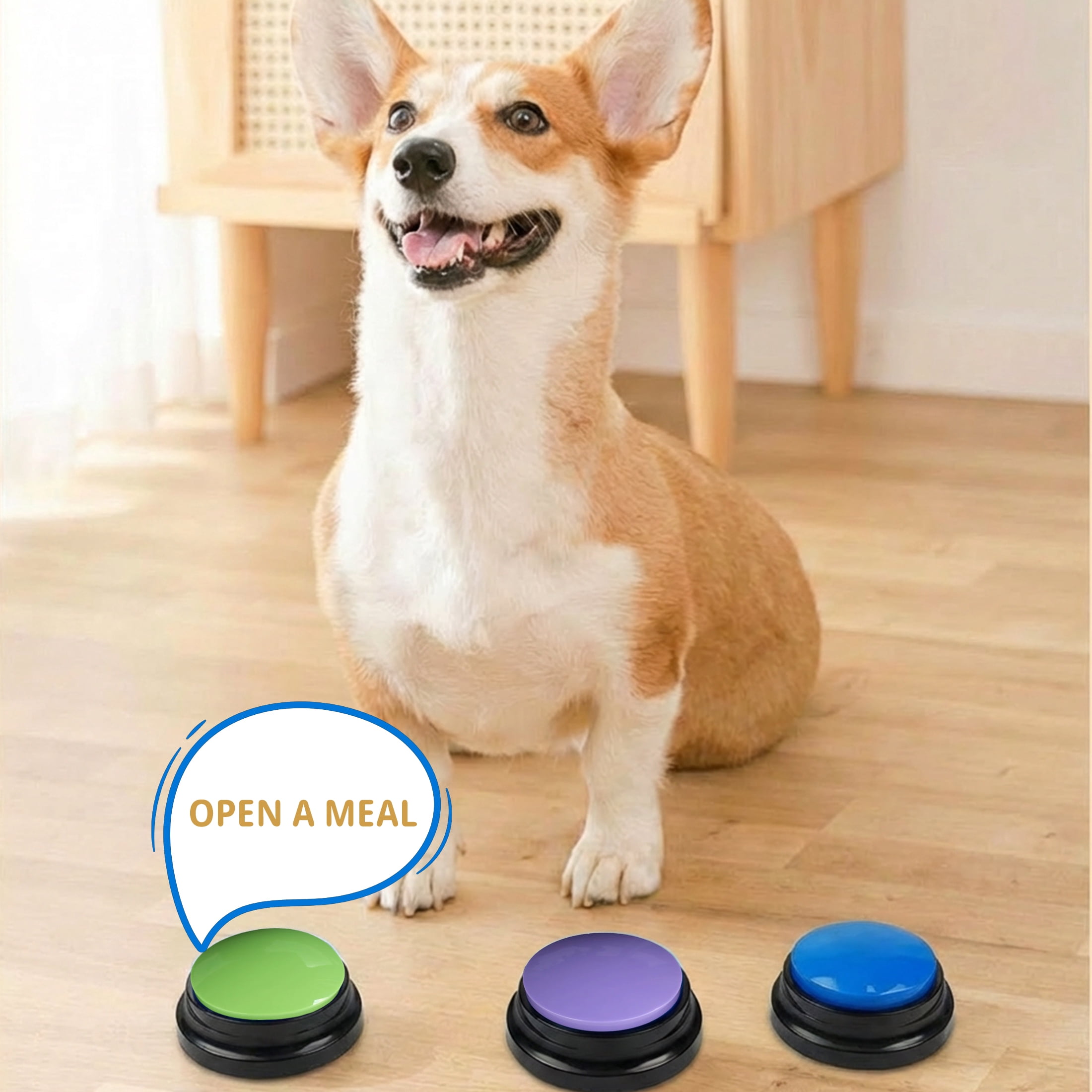 Recordable Dog Training Buttons, Talking Pet Communication Starter Kit, Squeeze Activated Voice Recorder for Dogs and Cats, Interactive Pet Toy