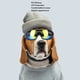 thumbnail image 3 of Gafas A Prueba de Viento para Perros, Gafas de Sol de Mascotas A Prueba de A Prueba de Con Correa Ajustable Para Gatos de Perros, 3 of 7