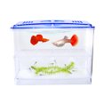 thumbnail image 4 of BESTYASH De Cría Para Peces Transparente Fácil De Limpiar Para Reproducción Eficiente, 4 of 5