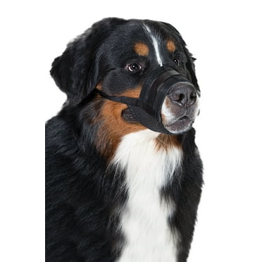 Premier Pet Dog Muzzle for Extra Large Dogs - Padded Nylon for Safe, Comfortable Fit