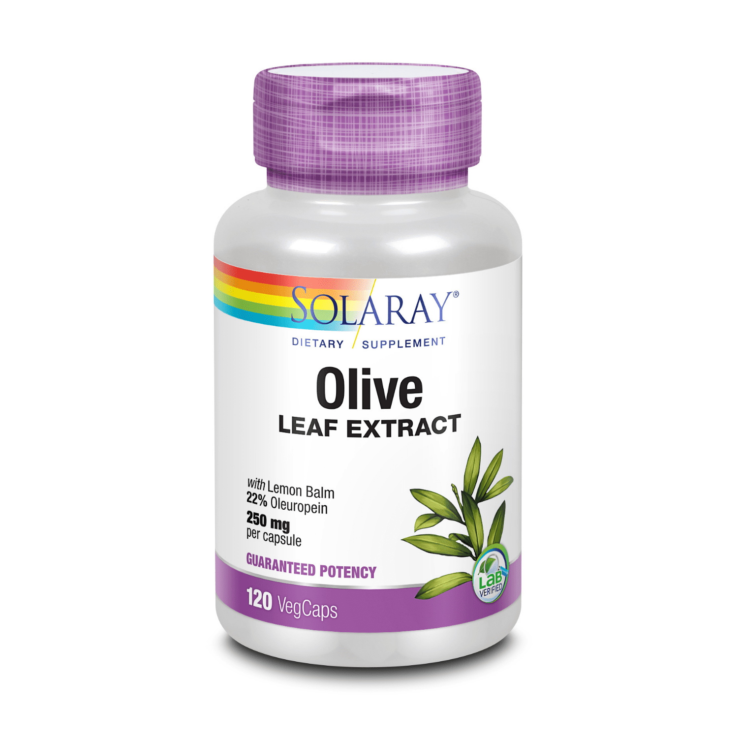 Solaray Olive Leaf Extract 22 Supplement, 250 mg 120 Count