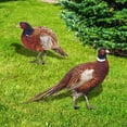 thumbnail image 3 of 2 Pack Acrylic Stakes Garden Pheasants Stake Yard Art Outdoor Animal Decoration Lawn Patio Decorative Statue Sculpture, 3 of 9