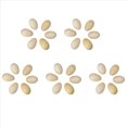 thumbnail image 1 of Juego de 30 Piezas de PercusióN de Madera Musical Egg Maracas Egg Shakers Instrumento Musical Toy para NiñOs, 1 of 5