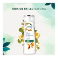 thumbnail image 4 of Shampoo Herbal Essences Daily detox brillo crimson orange & mint 700 ml, 4 of 4