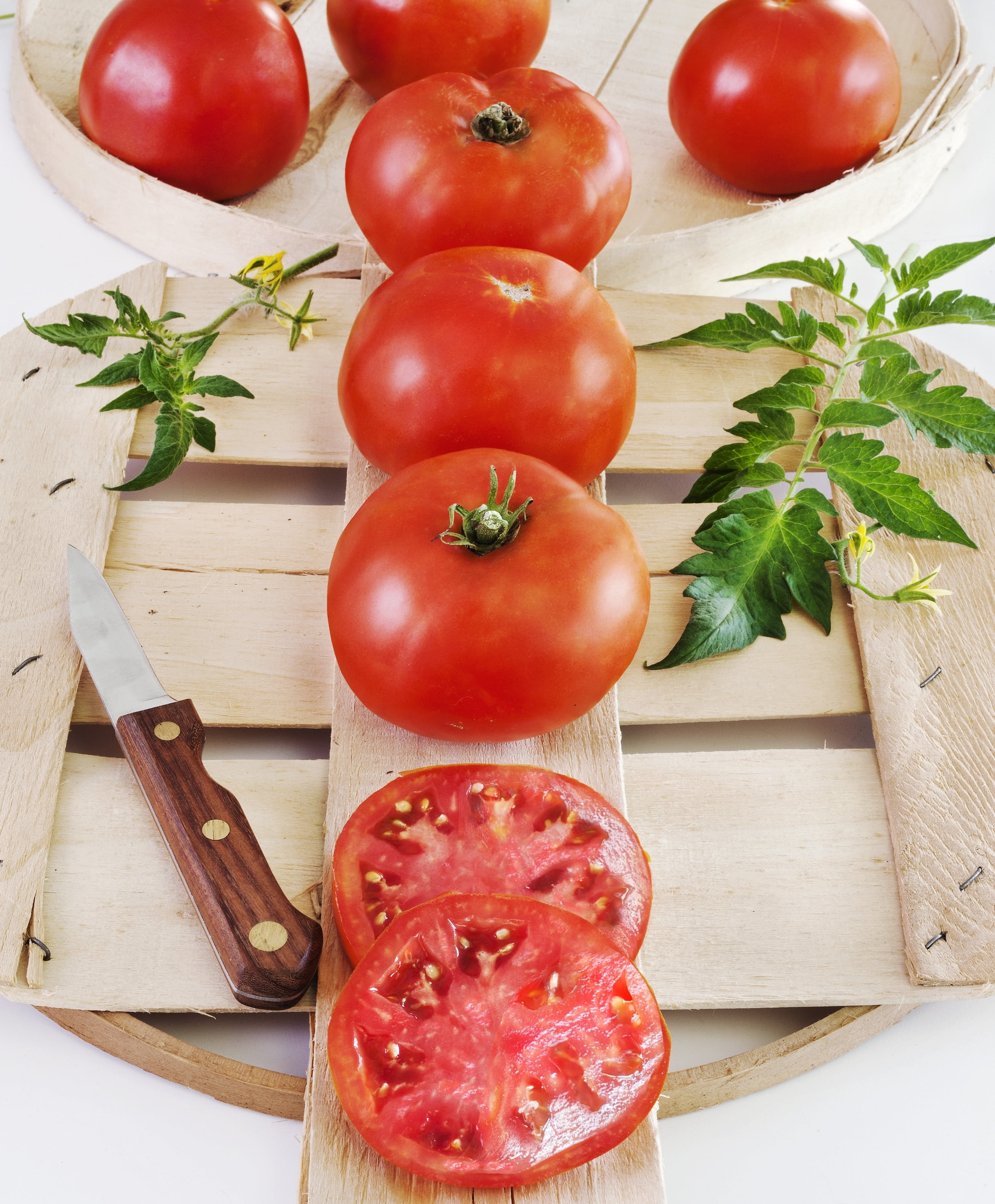 Bonnie Plants Big Boy Tomato 6pack