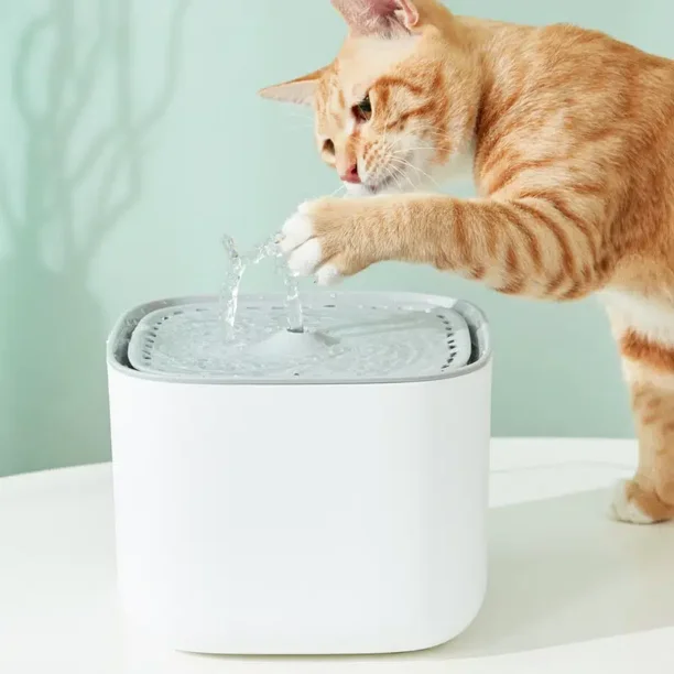 3L Pet Water Fountain Dispenser For Indoor Cats & Dogs - Walmart.com