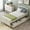 White, variant on DasyFly Platform Bed Frame with Two Storage Drawers - Wood Twin Size Bed Frame - Espresso