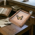 thumbnail image 2 of OULII Specimen Frame Case Wooden Structure for Butterfly Enthusiasts 1Pack, 2 of 4