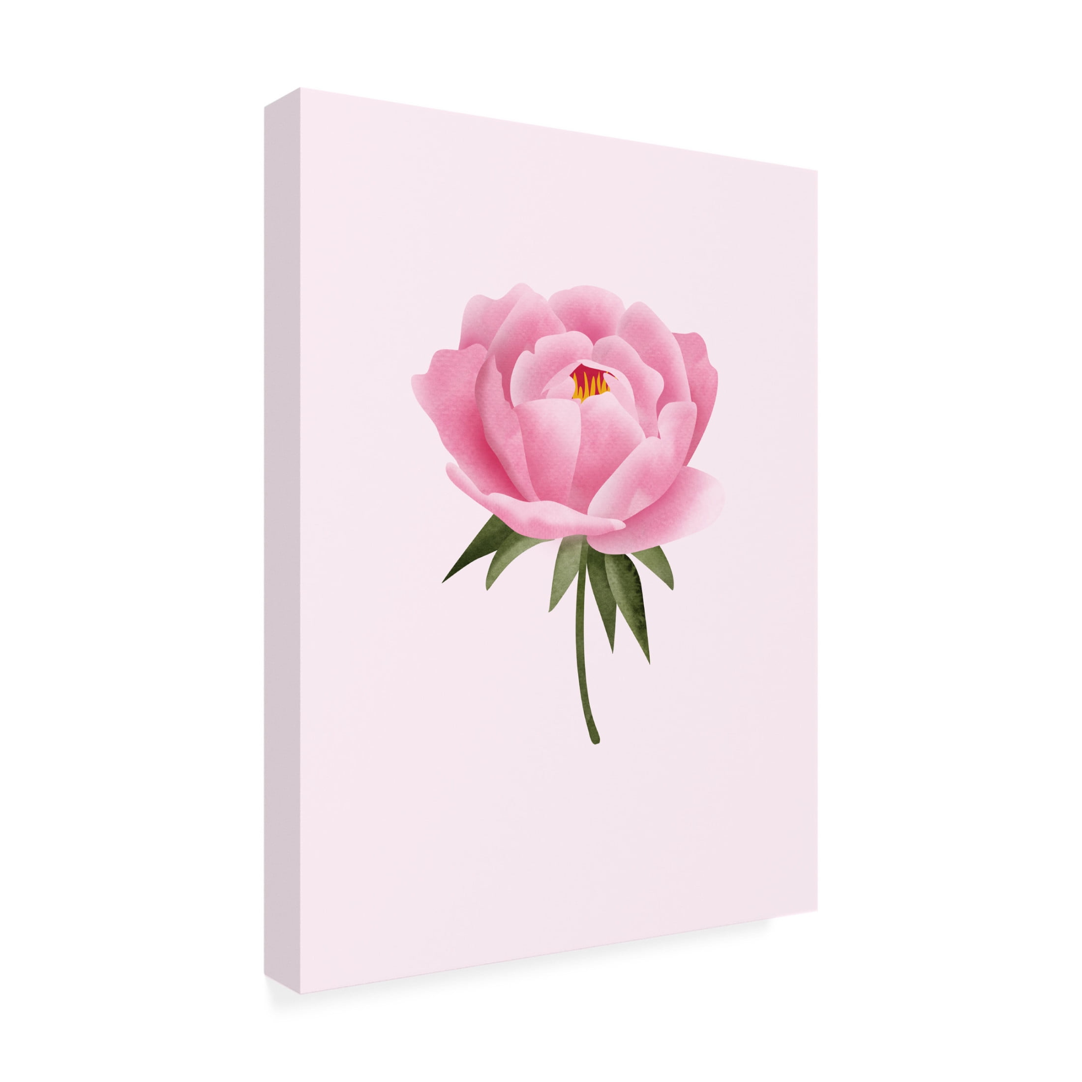 Trademark Fine Art Rosana Laiz Blursbyai Peony statement Canvas Wall Art